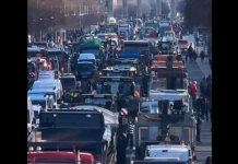 Германците сложни како никогаш до сега: Државата пред тотален колапс – ништо не функционира, траат ПРОТЕСТИТЕ