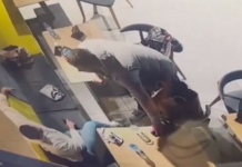 (ВИДЕО) Страшно за гледање: Српски кошаркар нападнат со нож!