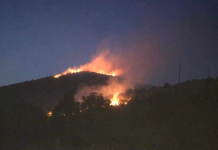 Македонија вечерва нема да спие мирно: Глетката е ужасна, големиот пожар брзо се шири – теренот е лош, тешко може да се интервенира