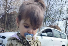 Нови детали за потрагата по 2- годишното девојче во Србија: Се вклучија и форензичари