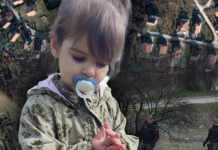 Зошто е прекината теренската потрага по исчезнатата Данкa: Се појави НОВ правец на истрагата – еве за што се работи