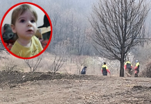 После 27 часа запрена потрагата по исчезнатата Данка – полицијата се огласи