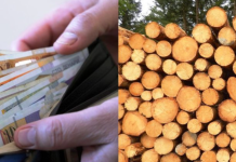 Измамен 90 -годишник од Кочани – требало да добие огревни дрва, а останал и без парите и без дрва