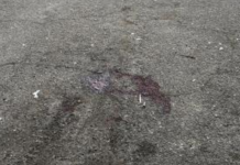 НАЈНОВИ ДЕТАЛИ од истрагата за убиството на докторот Трпковски – крвта и натаму стои на паркингот