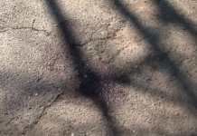 НОВИ ДЕТАЛИ: Кој го уби матичниот лекар Ацо Трповски? Денеска е погребан, истрагата во напредна фаза