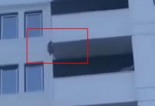 ВОЗНЕМИРУВАЧКО ВИДЕО: Куче падна од седми спрат во Тетово