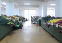 Младите си заминуваат ќе нема кој да се занимава со земјоделство