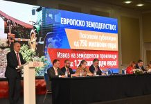 МНОГУ НОВИТЕТИ: СДСМ ги најави 10-те столбови на кои ќе се темели новата изборна програма