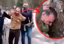 НЕМА ШЕГА: На терористот од Москва му го отсекоа увото и му го ставија да го јаде