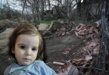 Морничав детал: Таткото на Данка го застанал возилото во кое го криеле нејзиното тело и ги прашал дали ја виделе