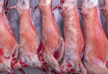 Ништо ново, кога доаѓа Велигден: Цените на јагнешкото се зголемија и имаат нагорна тенденција