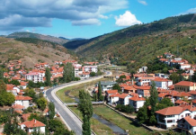 Решен проблемот кој го имаа паланчани – Со правосилни решенија започнува одземањето на Стадото говеда кое пустошеше по градот