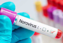 Над 800 лица се заразени со норовирус на фестивал во Германија