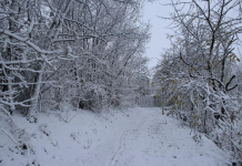Се е бело: Голема количина на снег има во одредени делови од Балканот – еве каква е ситуацијата