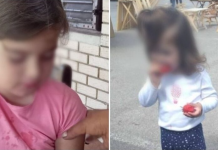 „Ги најдовме гушнати, ќерките ќе ги погребам заедно со дедо им“ – За неолку секунди изгубени три члена на семејството