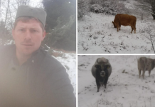 Планинскиот човек Дане: Ме принудуваат да продавам ефтино бидејќи знаат дека имам мало бебе