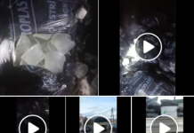 (ВИДЕО) Тензично во Кочани: Граѓани пронајдоа забранет отпад од биохемиска фабрика во депонијата – луѓе умираат од тешки респираторни болести