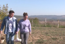 Соседите поминуваат покрај нивата на Сашо и Неда и се крстат: Иако нема ништо, тие постојано работат