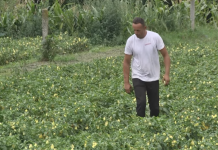 Његош од ноември до мај ги полни џеповите: Работата е лесна, заработувачката одлична