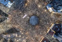 Десетици илјади на протести во Белград и во Ниш