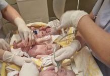 На Бадник во Битола се роди тројка – две братчиња и сестричка