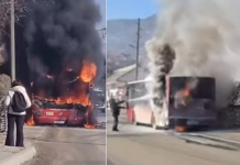 (ВИДЕО) Страотни сцени – се запали автобус на ЈСП полн со патници