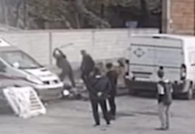 Кривична пријава против тројца за крвничкото претепување на бездомното куче Феликс кое угина вчера