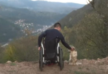 Поради залутан куршум Никола останал неподвижен – виновник нема, а мистеријата продолжува: Сега стигна и до Европскиот суд, адвокатот ги откри деталите