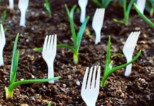 Забил пластични вилушки во земјата во својата градина: Никој не знаел зошто, па ја откриле причината – генијална