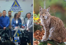 Рисот како консензуално решение за новиот државен грб, велат од ЛДП