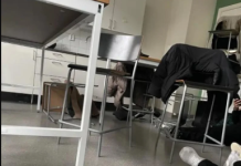 Страшни сцени во Шведска: Најмалку 11 лица загинаа во пукање во училиштето во Оребро