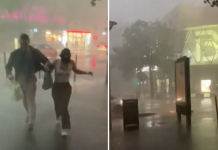 (ВИДЕО) Две лица го загубија животот, дрво падна врз 12-годишно дете, страотно невреме руши се пред себе и создава досега невидени проблеми, ситуацијата е крајно сериозна во Франција