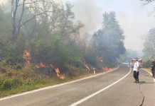 Во Македонија денеска регистрирани 17 пожари – два сè уште активни