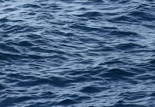 ЦРНО УТРО: 9-годишно девојче од Македонија се удави во река во Италија