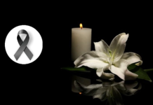 Почивај во мир, убавице: Eстрадата во шок, колегите се простуваат од младата српска пејачка