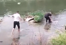 (Видео) Жена се фрли во Вардар – полицијата ја спаси
