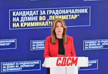 СДСМ обвинува: Кандидатот за градоначалник на Виница од ВМРО-ДПМНЕ дел од шумската мафија?