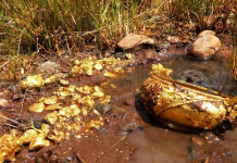 Во Македонија има стотици тони скриено злато: Може да го најдете и без детектор – еве како