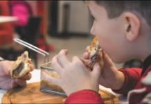 Вонредна вест во Македонија ова утро: Затворени 15 „училишни сендвичари“