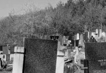 Сите тагуваат: Младиот 9-годишен Звонимир заспал на гробот на својата мајка – и никогаш повеќе не се разбудил