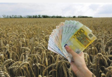 Голем удар за земјоделците во Македонија: Остануваат без 120.000.000 евра