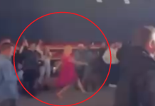 (ВИДЕО) Снимка од публиката на концертот на Теа Таировиќ стана хит на социјалните мрежи