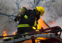 Ужасна вест брзо се прошири: Во Скопје пожар во позната фабрика и магацин – пронајдено едно опожарено тело