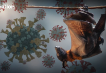 Нема лек, нема вакцина: Смртоносен вирус се заканува на светот – медицинска сестра во кома