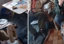 Татко и син 30 години не се избањале, немаат струја, нужда вршат во кеси: Од социјално им одговориле дека „немаат средства” да им помогнат