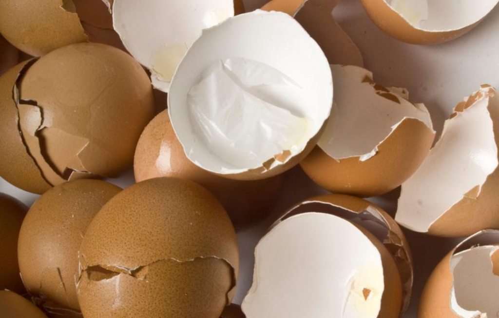 Не ги фрлајте лушпите од јајца – еве зошто се корисни