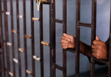 Син на поранешна градоначалничка во Македонија заврши во притвор