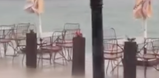 (ВИДЕО) Страотно невреме во овие ДВА града во Македонија – водата носеше се пред себе