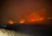 Голем пожар изби во Македонија – еве во кој правец се движи