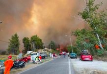 Голем пожар во Грција – се евакуираат туристи и жители на градот